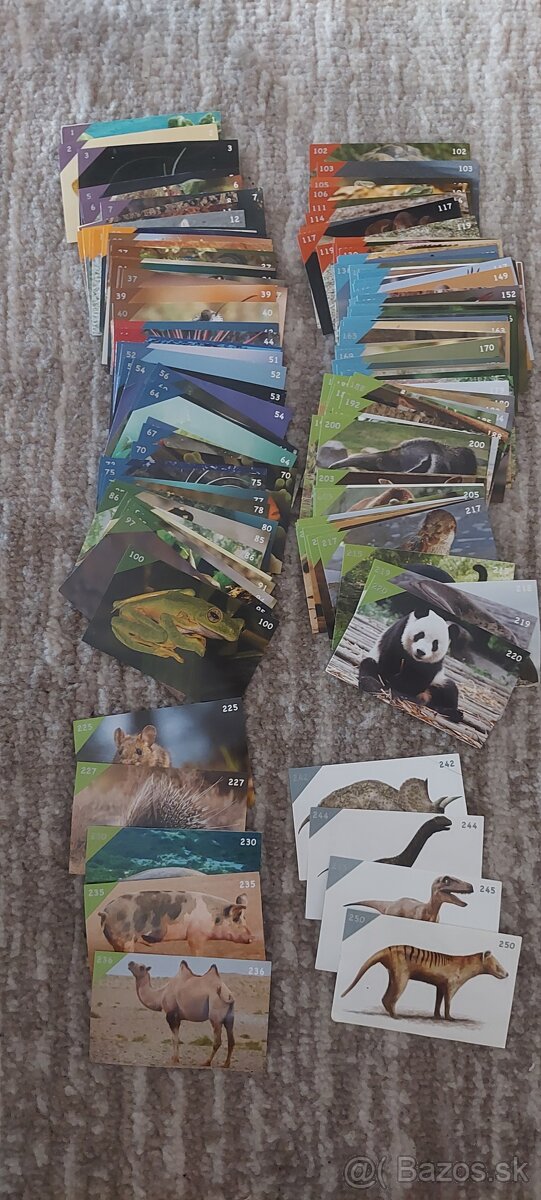Animal Kingdom