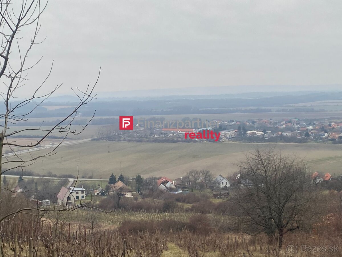 Pozemok na predaj v obci Vinné, okr. Michalovce