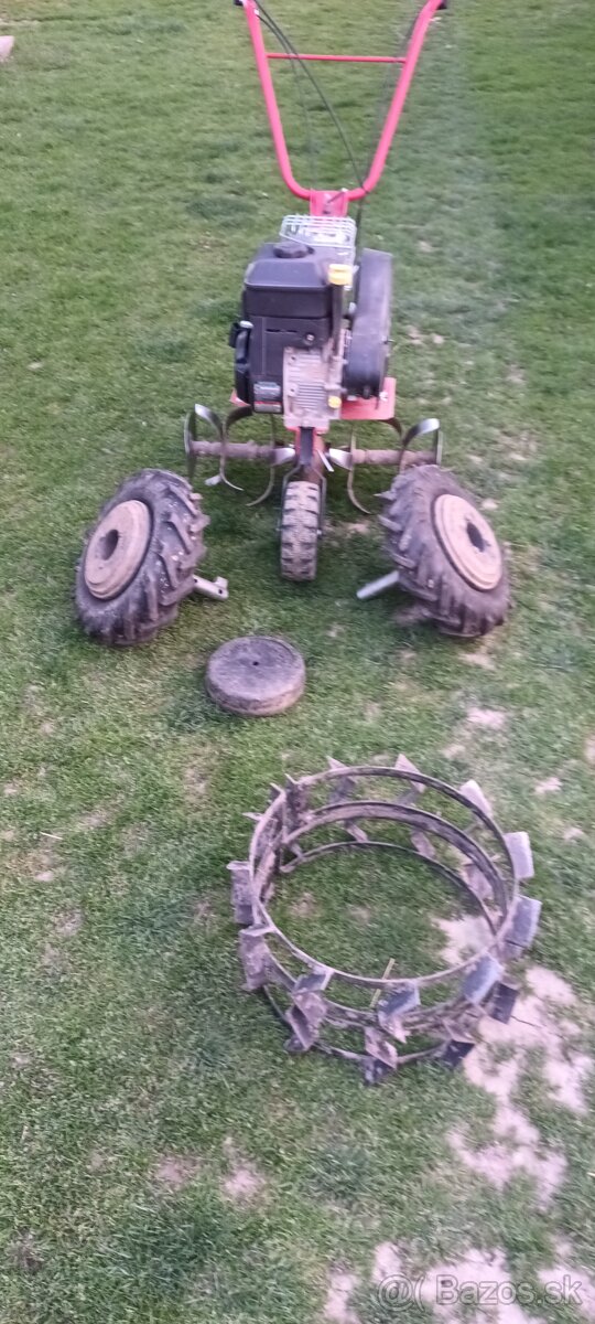 Kulti MS 16