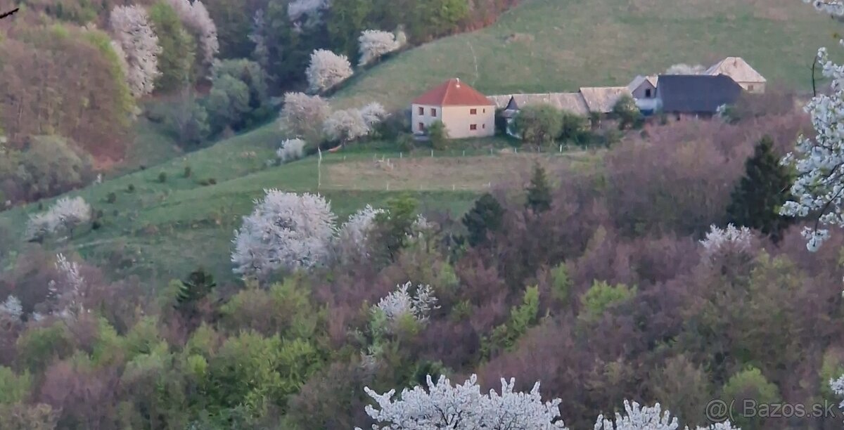 Rodinny dom Kralova Zvolen