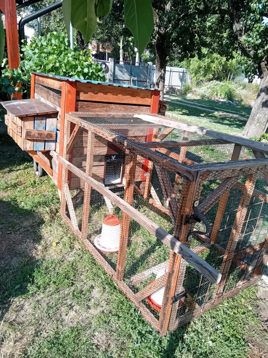 Kurín