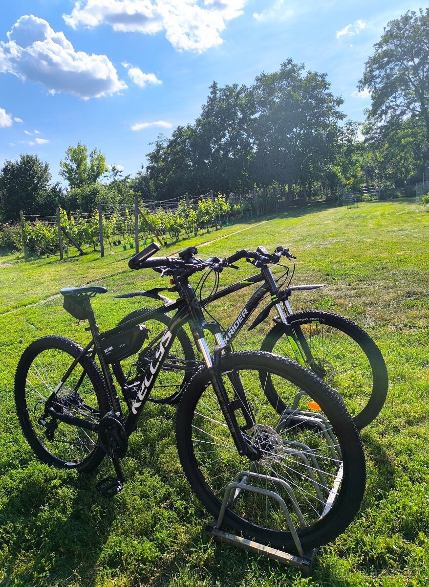 Kellys Spider 50 (XL)