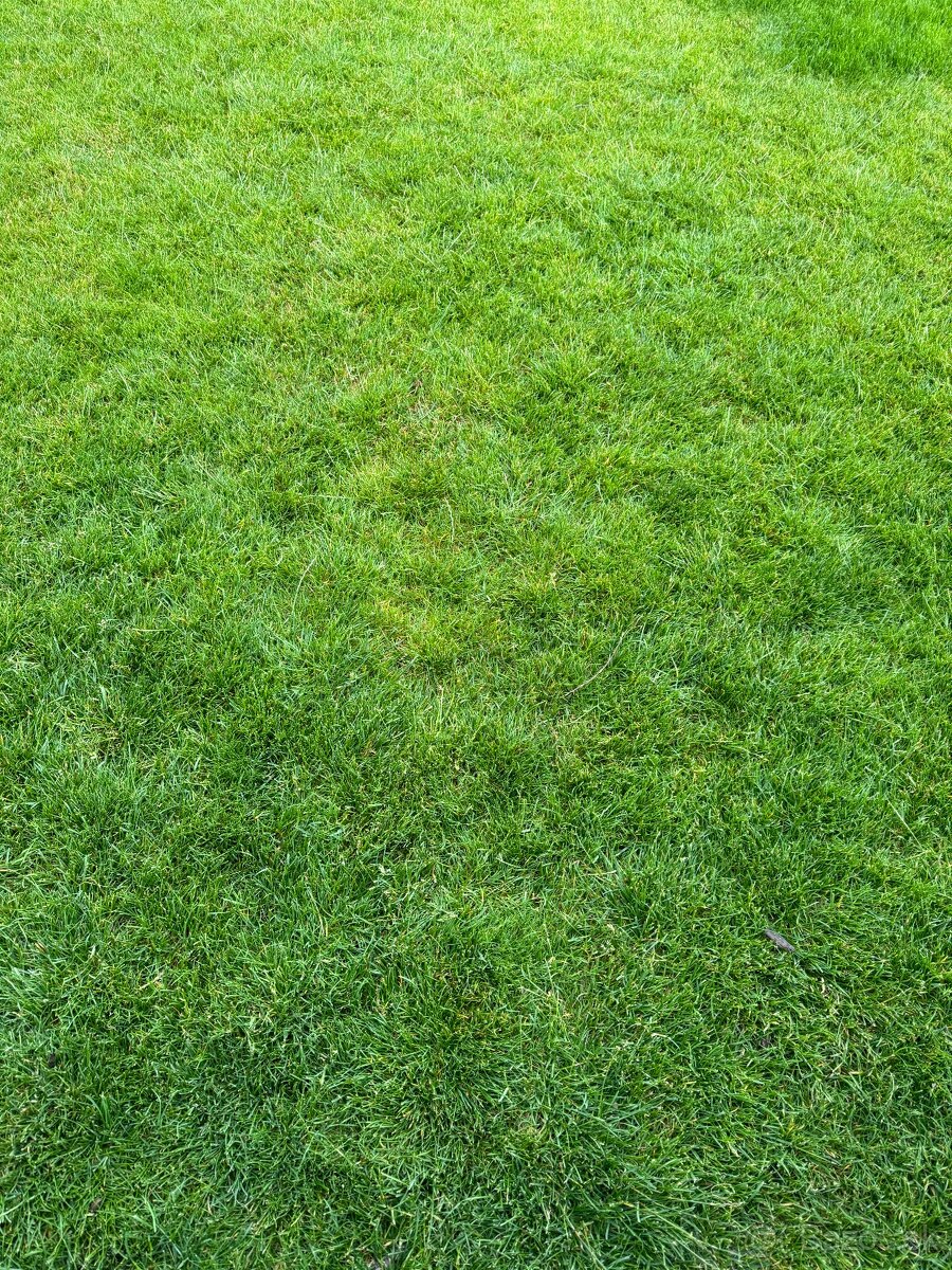 Slnečný pozemok- Trnava-Modranka