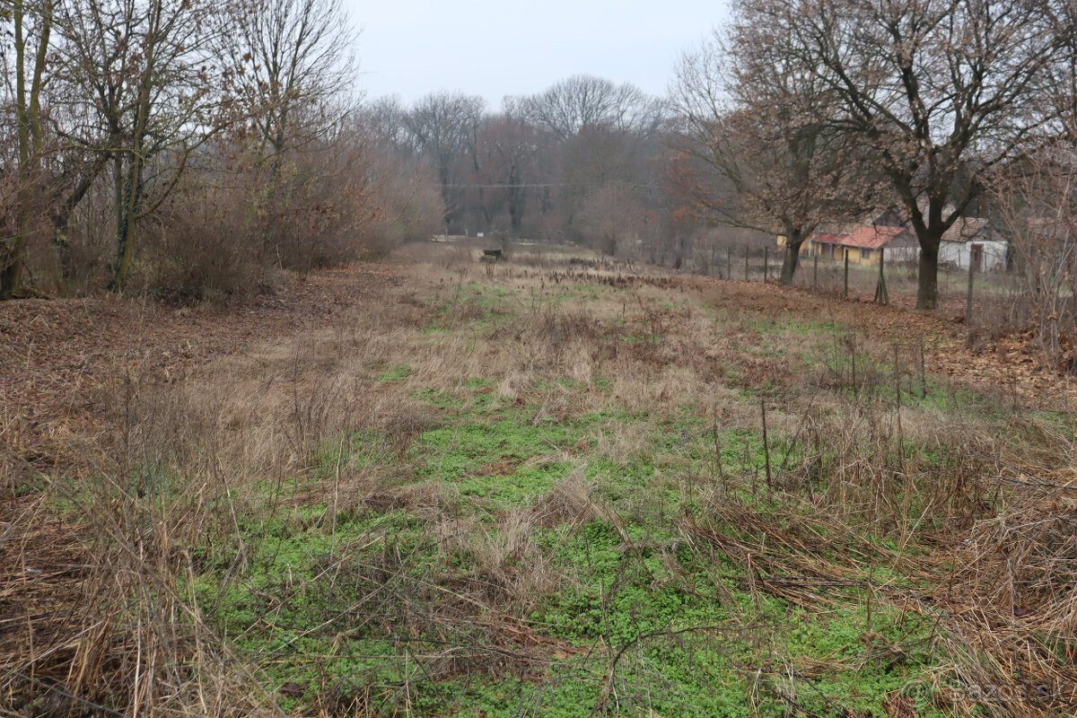 Predám stavebné pozemky v obci Belá pri Štúrove