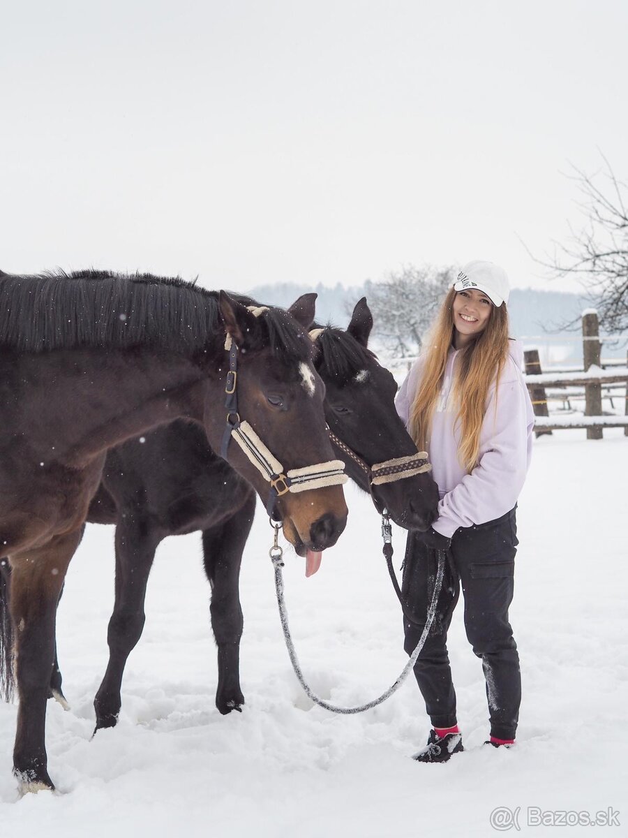 Vycvik koni, jazdcov