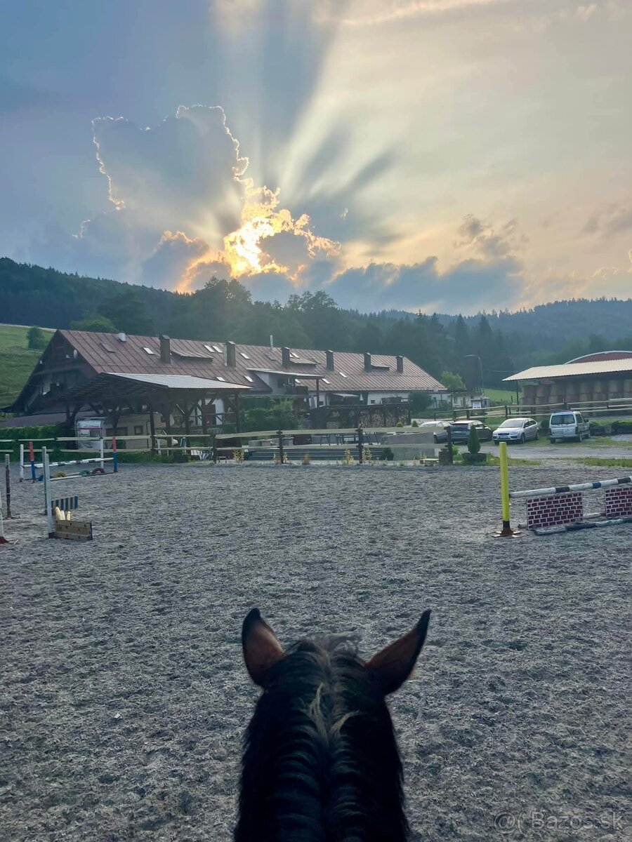 Práca trénera/ošetrovateľa