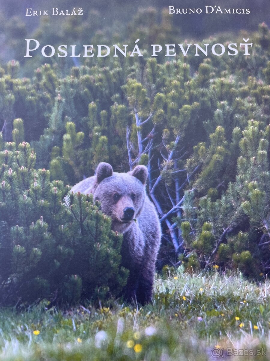 Posledná pevnosť Erik BalážBruno D. Amicis