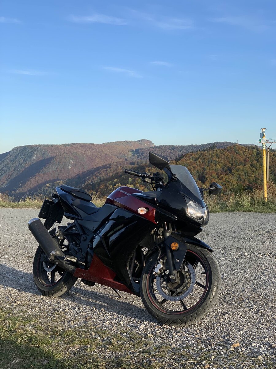 Kawasaki Ninja 250R