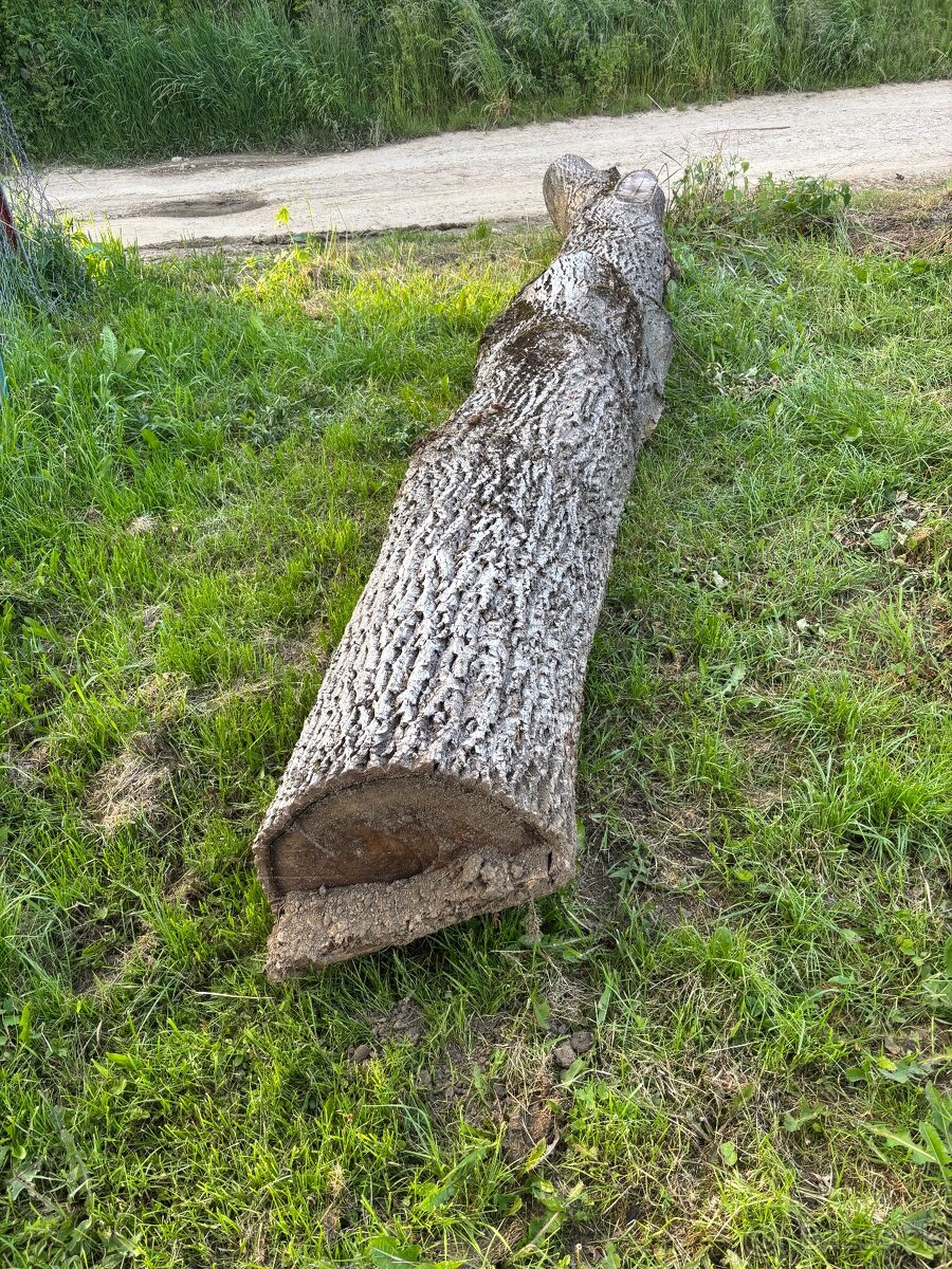 Predám orechové drevo