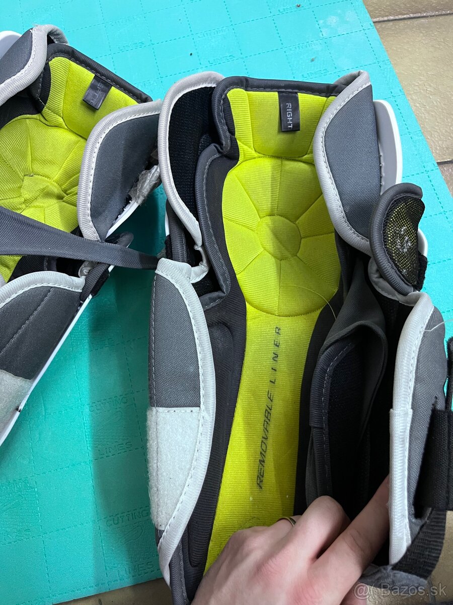 Hokejove holene chrániče