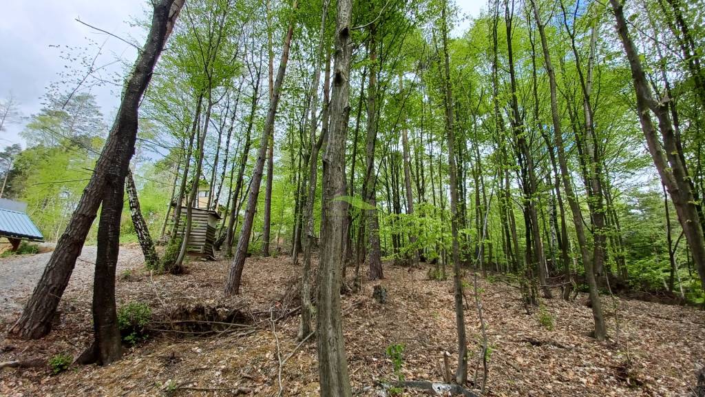 Pozemok Domaša-Nová Kelča