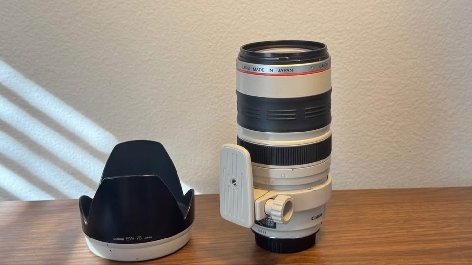 Canon EF 35-350 mm f/3,5-5,6 L USM