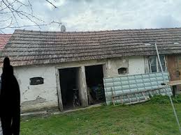 shanam chalupu staru