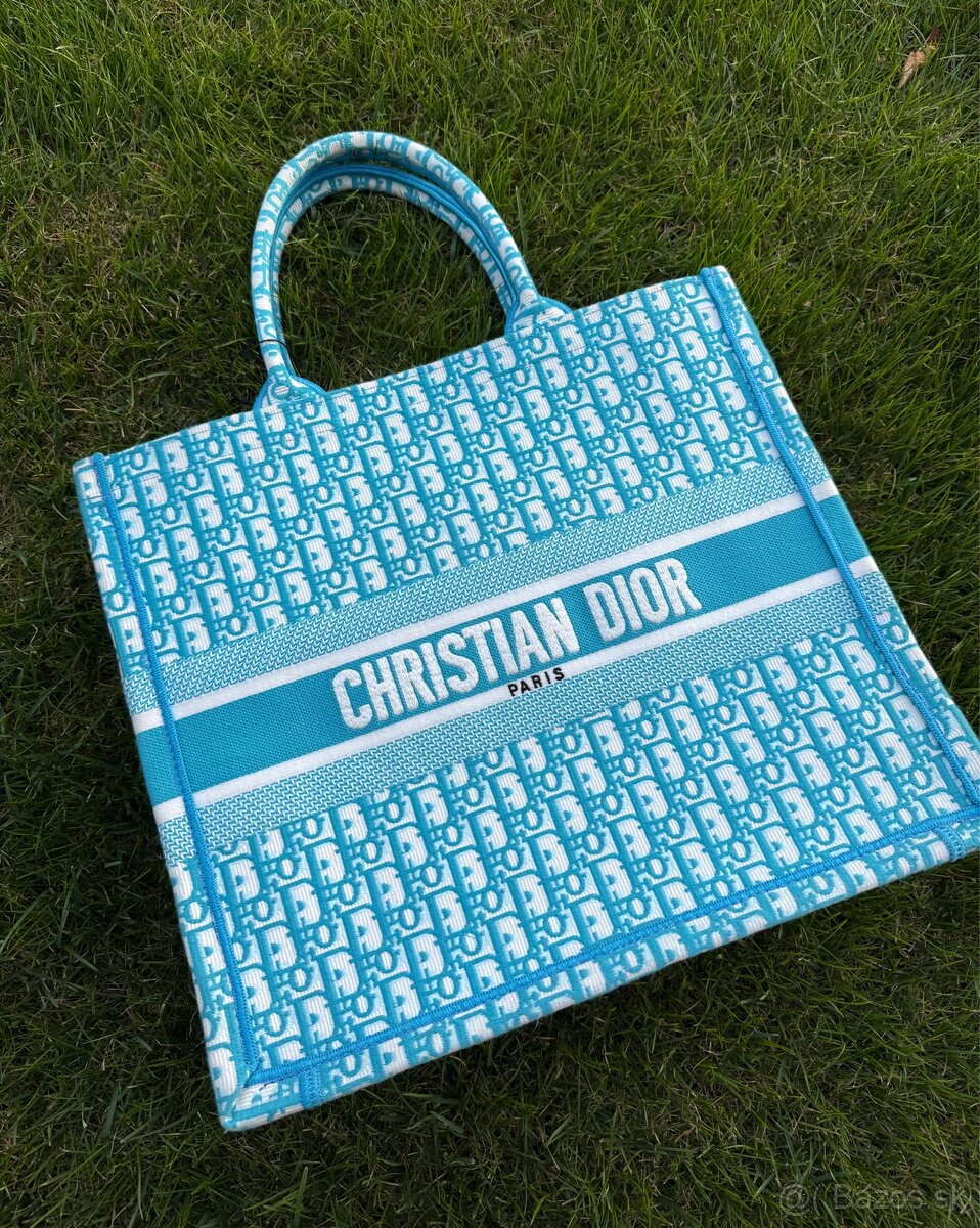 Christian Dior Large Book Tote Bag