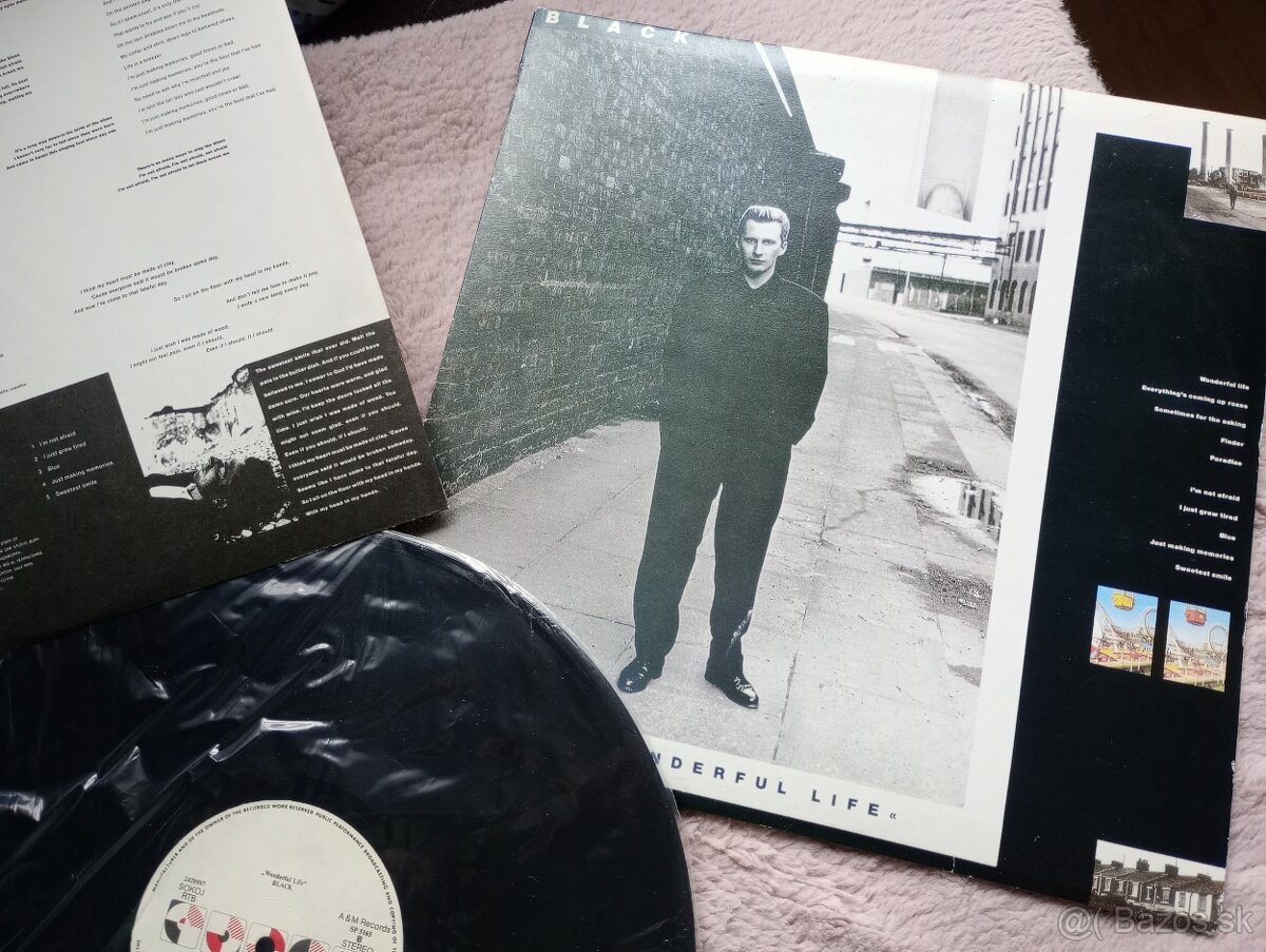 Lp platne