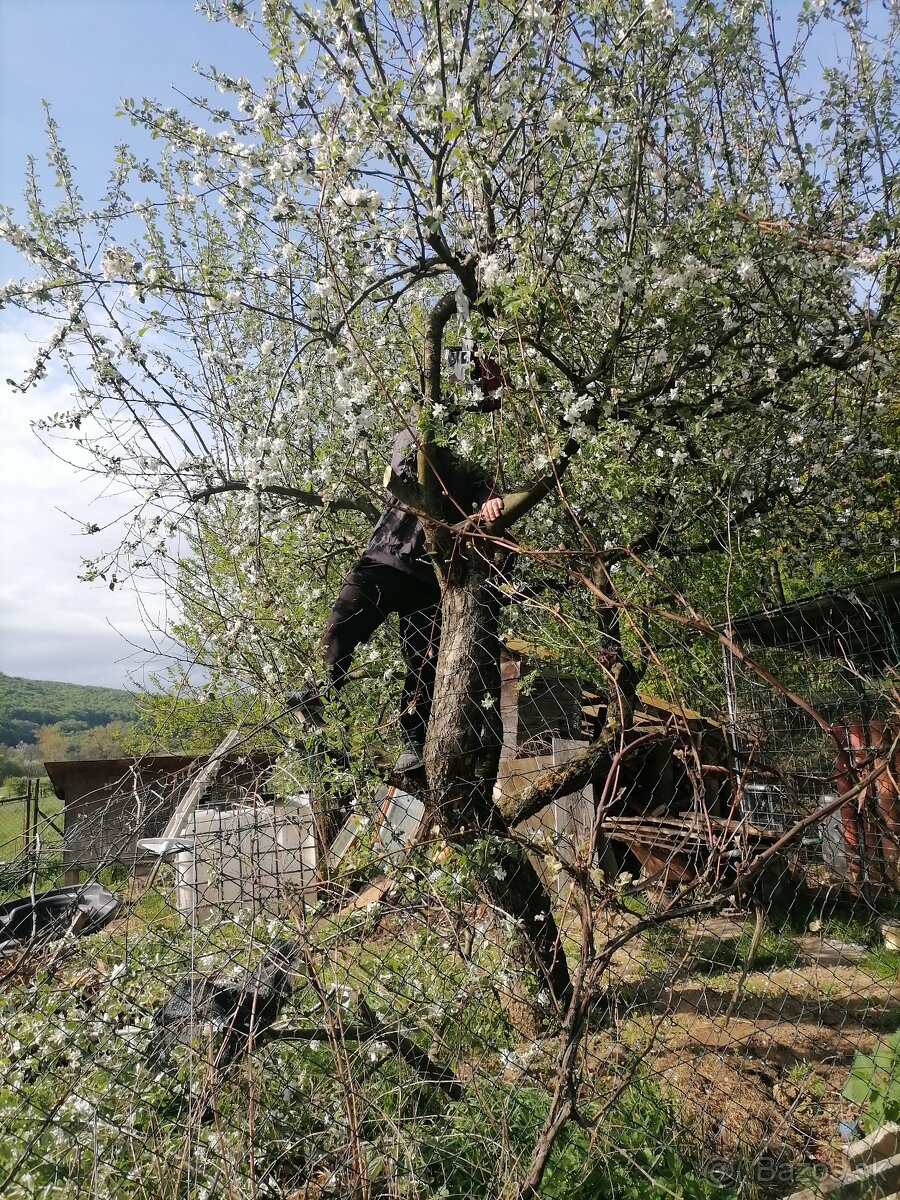 Brigáda na záhrade a na dome