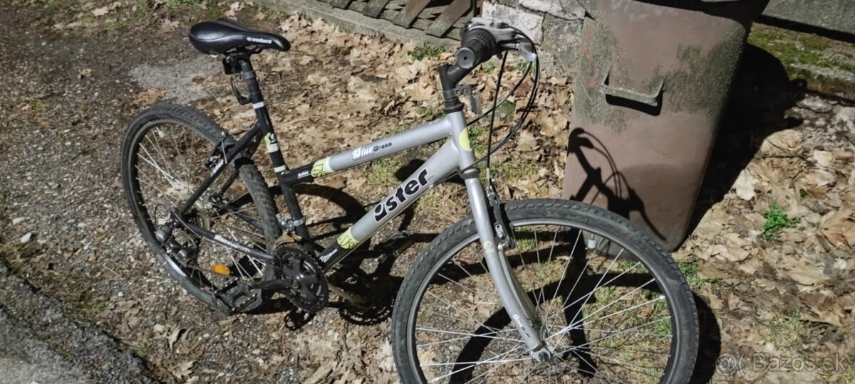 Horský bicykel