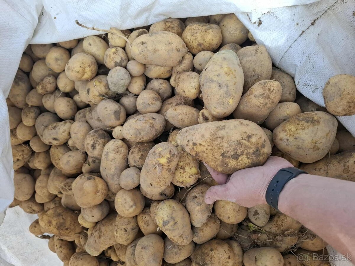 Predam zemiaky