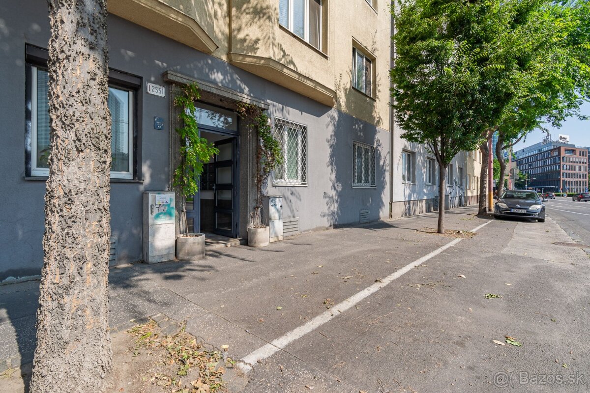 3 IZB. BYT - ATELIÉR - TEHLOVÝ DOM