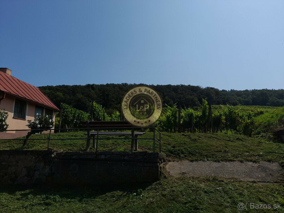 Na predaj vinohrad v Tokajskej oblasti, Viničky.