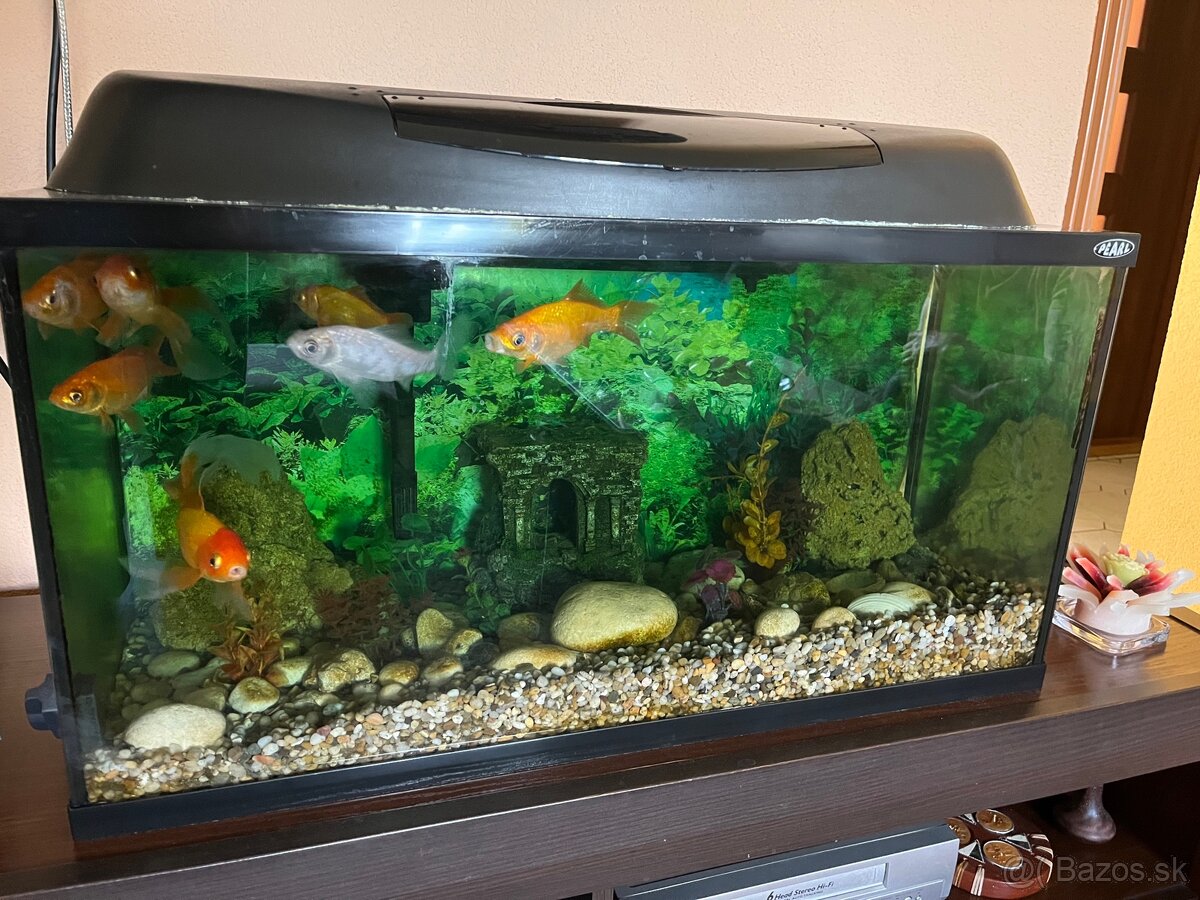 Akvárium 100L