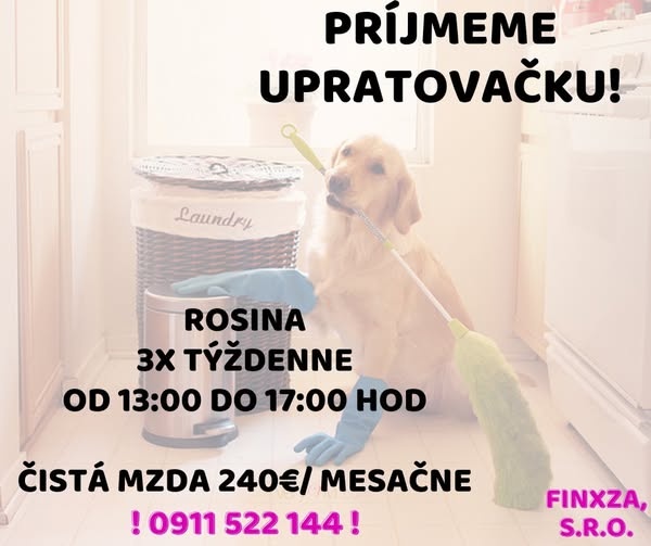 Hľadáme upratovačku Žilina - Rosina