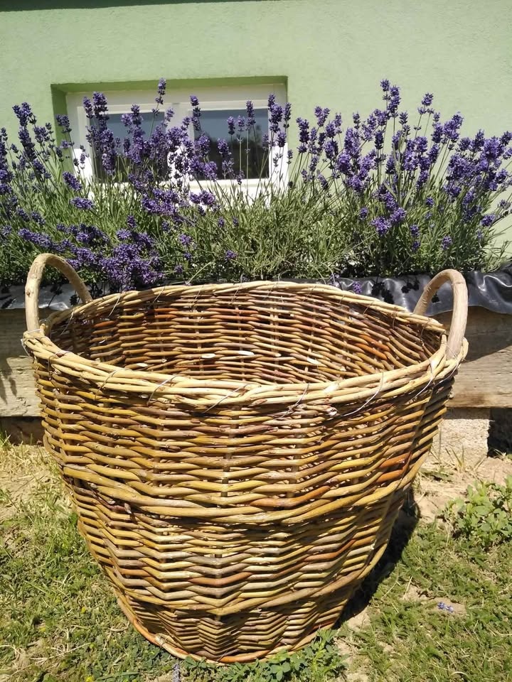 Košíky