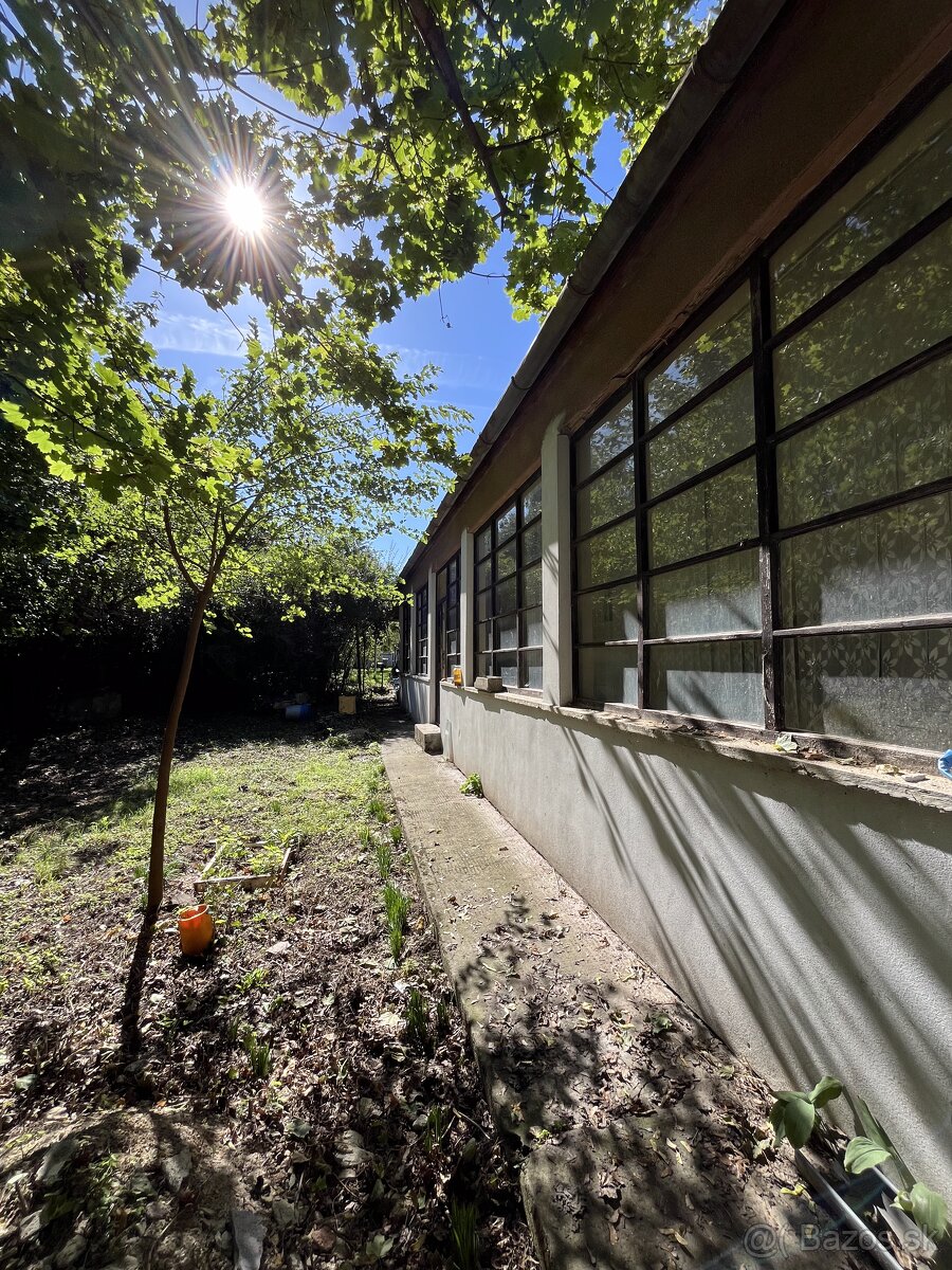 Sedliacky dom s jabloňovým sadom - okr. Levice