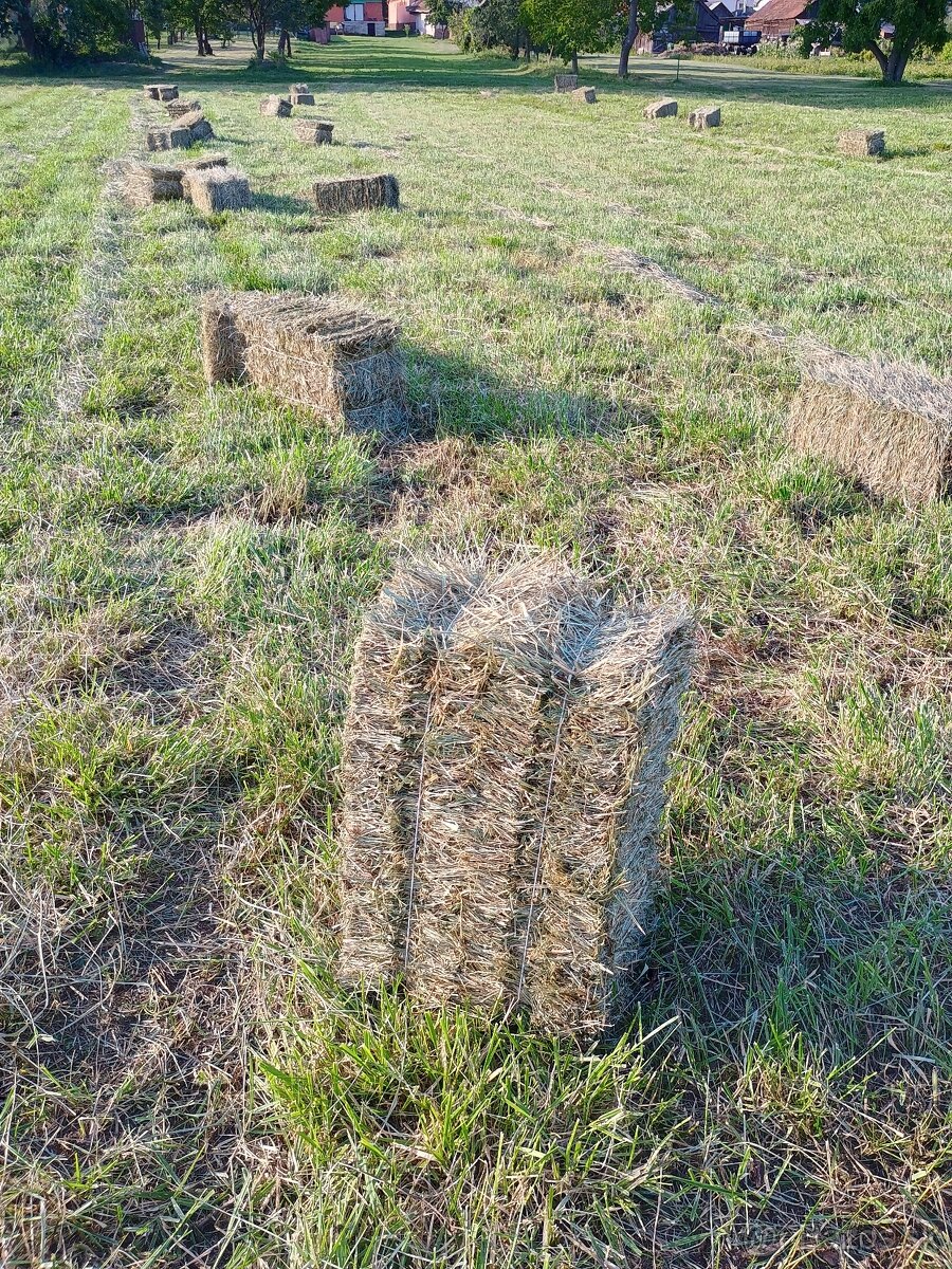 Seno na predaj