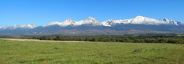 Zoberiem do prenájmu pastvinu, záhradu