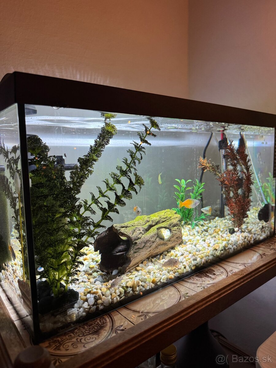 Predám akvárium