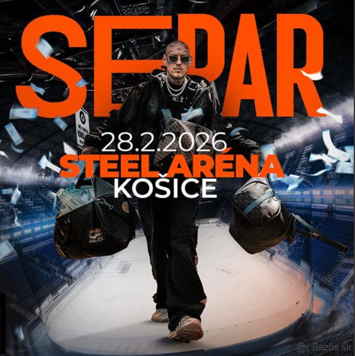 Separ steel Arena Košice