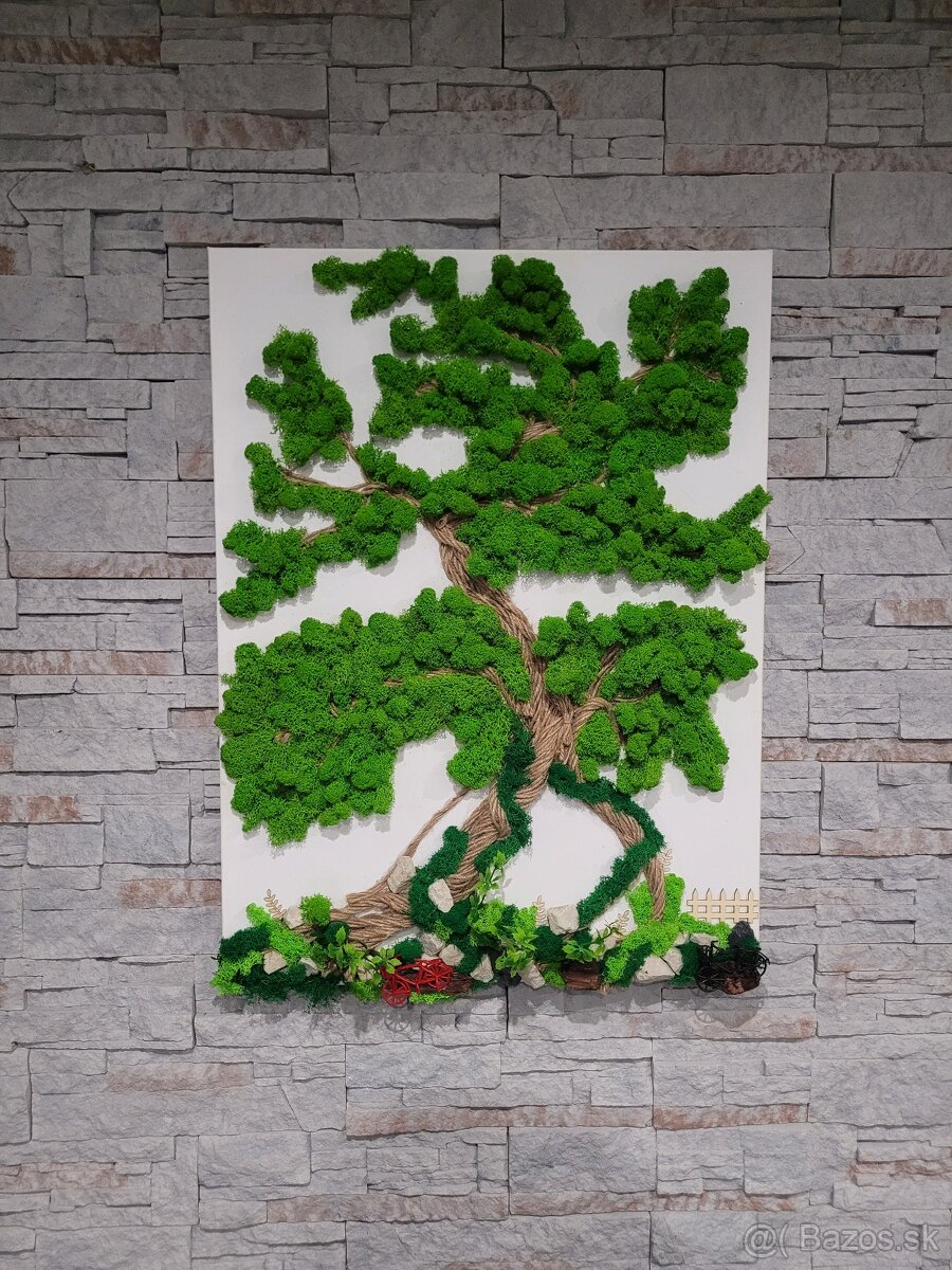 Machovy obraz na plátne