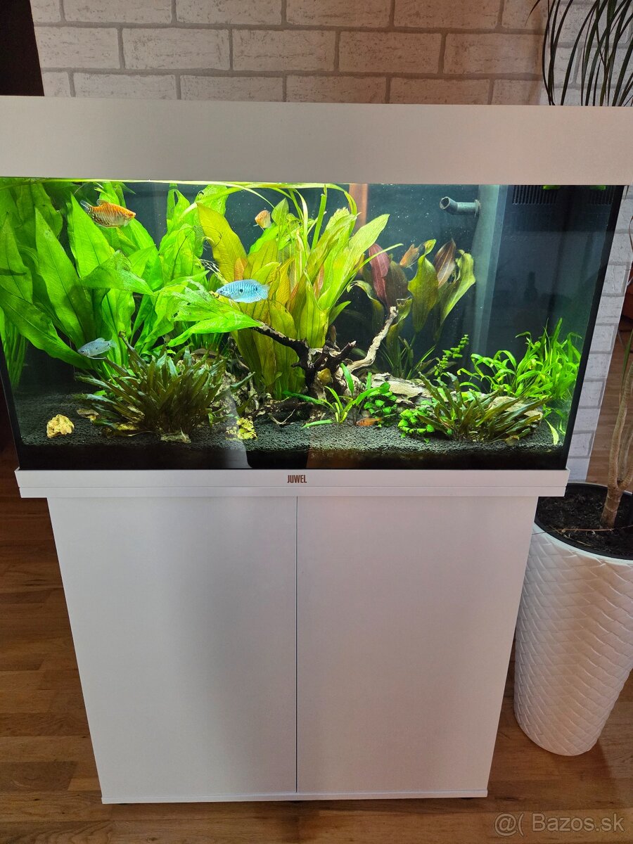 Akvárium Set Juwel Rio Led 125 + skrinka