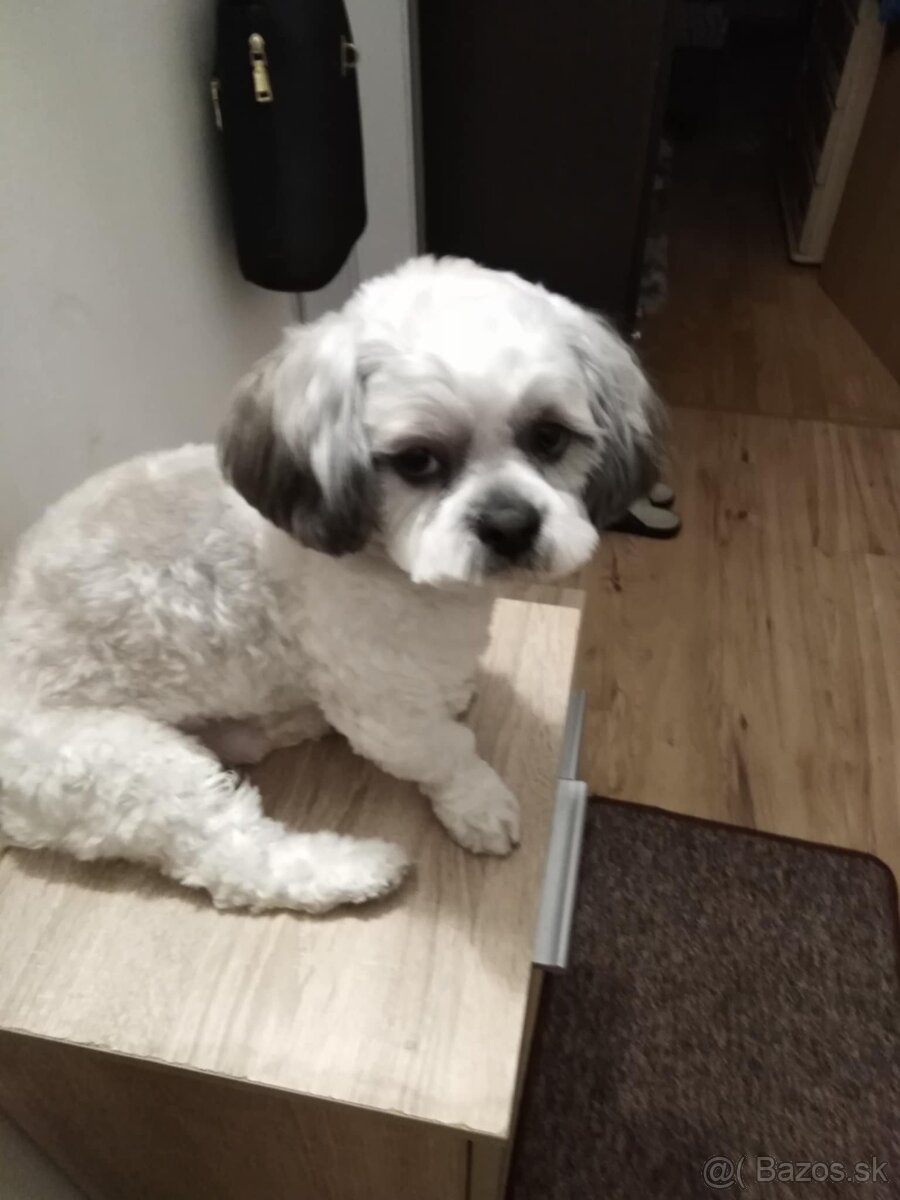 hladame fenku pre nášho fešáka