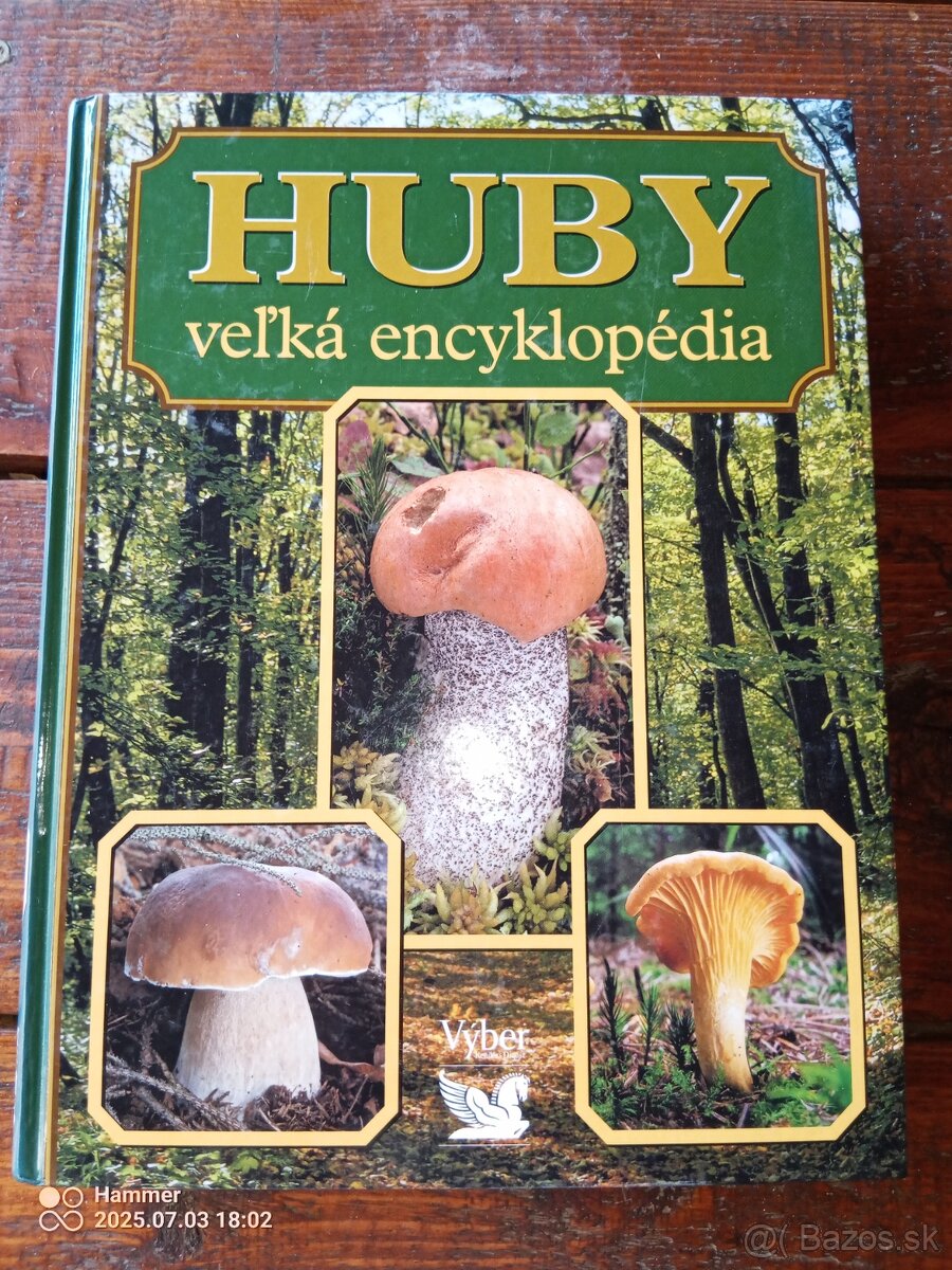 Mikologia