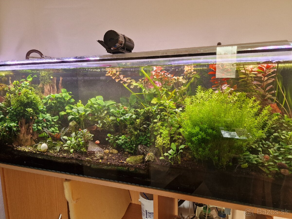 Akvarium
