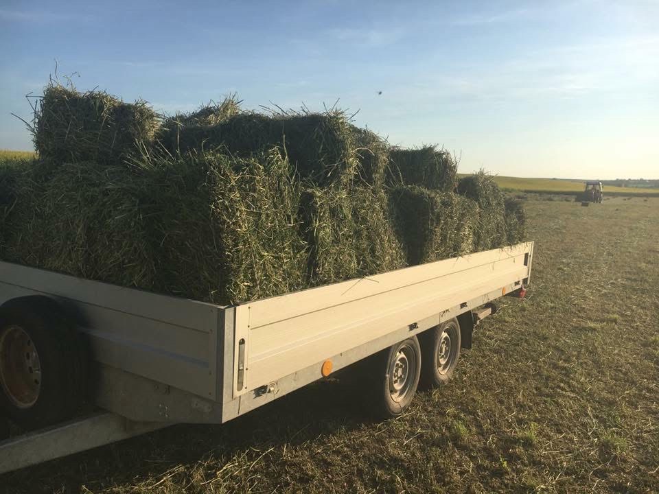 SENO MALÉ BALÍKY - nová kosba