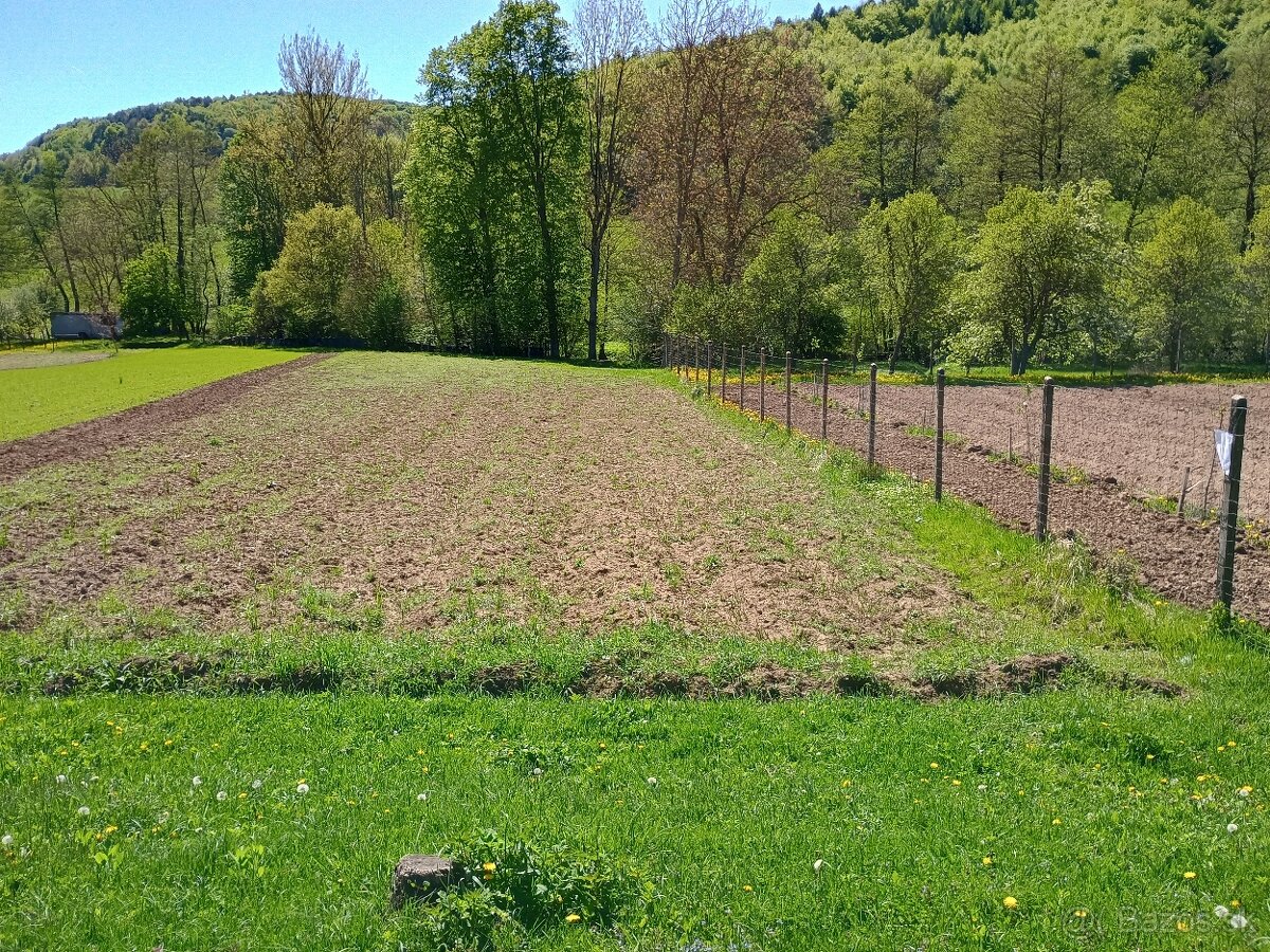 Zahrada 1697 m²