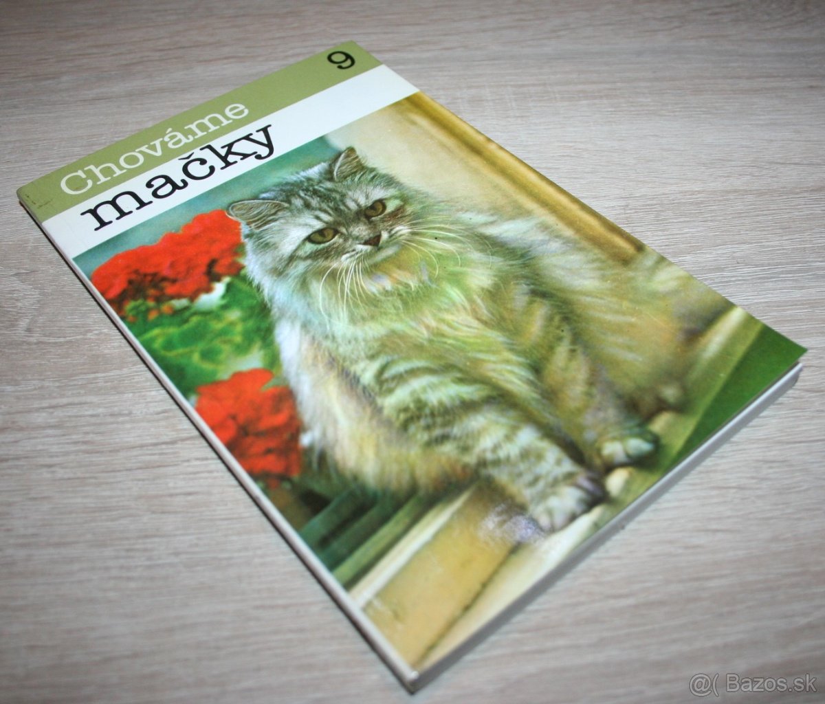 Chováme mačky