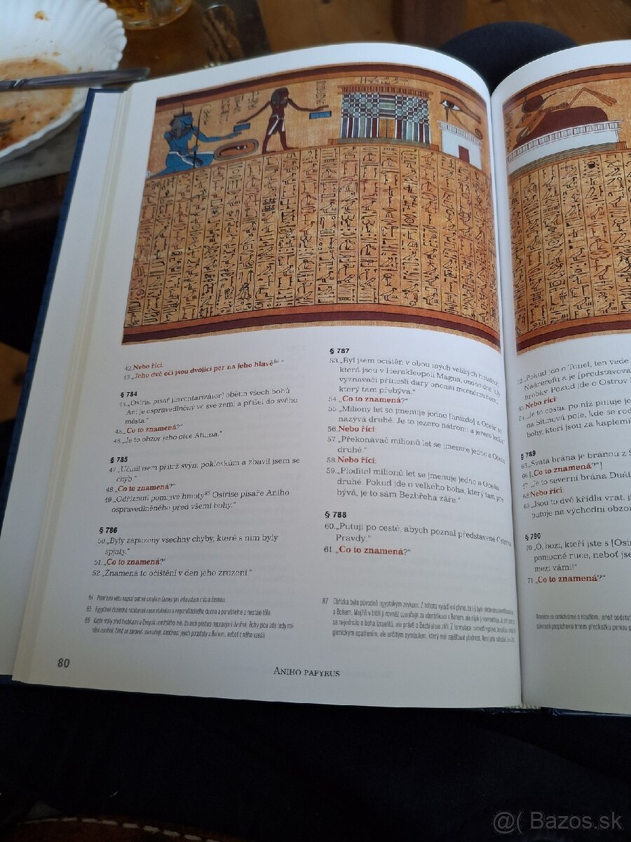 Jaromír Kozák Anyho Papyrus