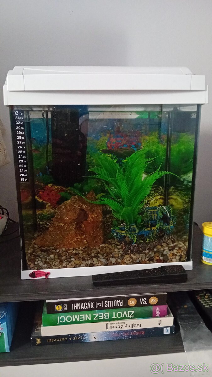 Akvárium  30l