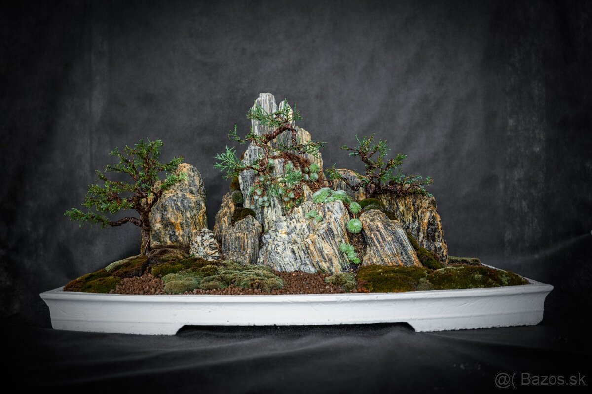 Bonsai Krajinka v bielej miske 78x38cm