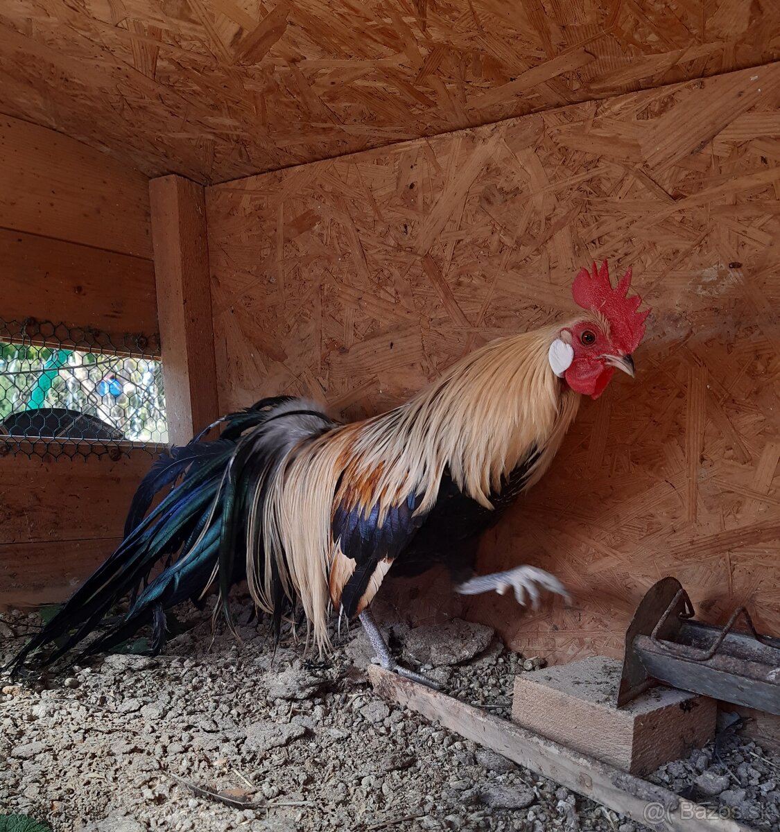 Fénix