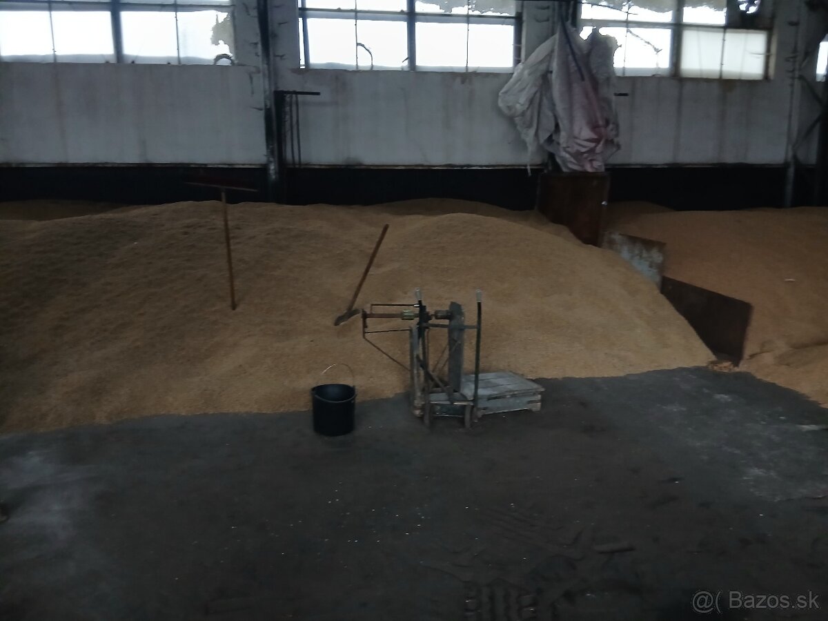 Predam jacmen, psenicu, ovos s dovozom.