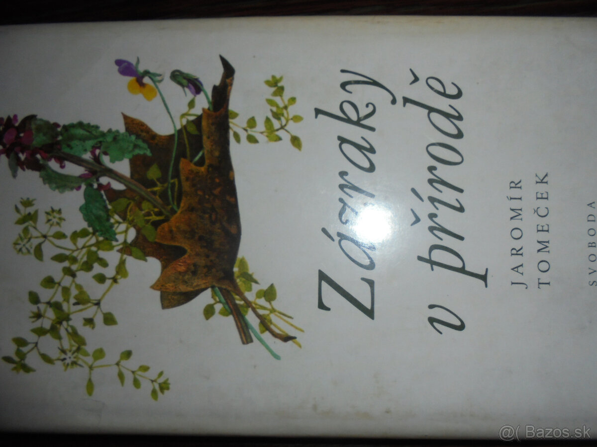 ZÁZRAKY V PŘÍRODĚ