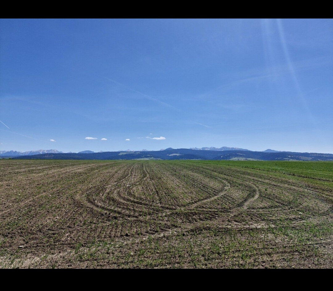 Pozemok Trstena orná pôda 2583m2