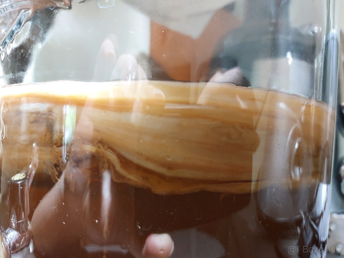 Kombucha