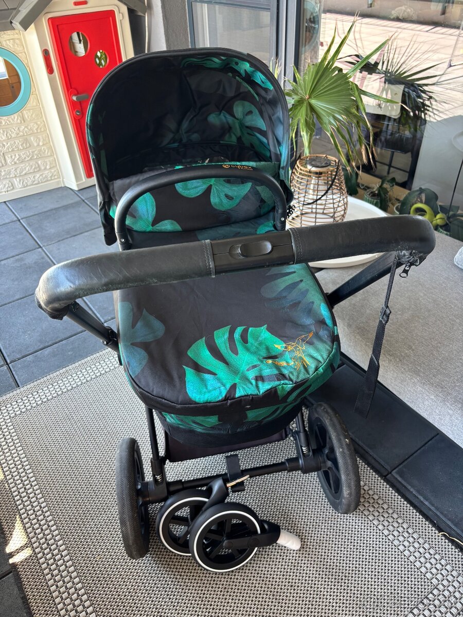 Cybex Priam Platinum 2018