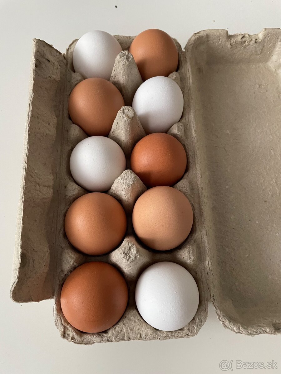Domáce vajíčka